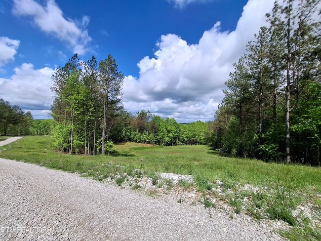 38 Stonecipher Ct, Home with 0 bedrooms, 0 bathrooms and null parking in Sunbright TN | Image 11