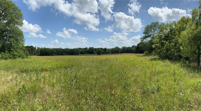 View of tree filled area featuring a view of rural / pastoral area | Image 18