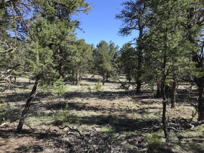 Lot 7 Red Fox Road, Home with 0 bedrooms, 0 bathrooms and null parking in Ramah NM | Image 18