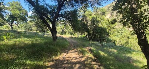 30010 Olivia Dr, Greenfield, CA, 93927 | Card Image