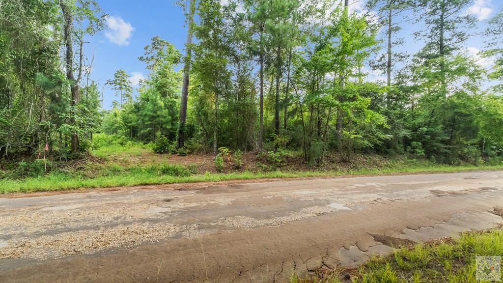 Land in Atlanta 5