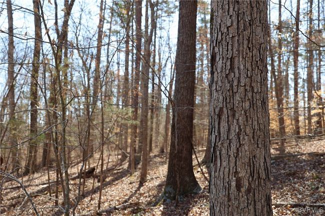 0 Golf Course Rd, Home with 0 bedrooms, 0 bathrooms and null parking in Halifax VA | Image 4