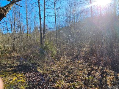 24.74 AC East Fork Road, Home with 0 bedrooms, 0 bathrooms and null parking in Sylva NC | Image 3