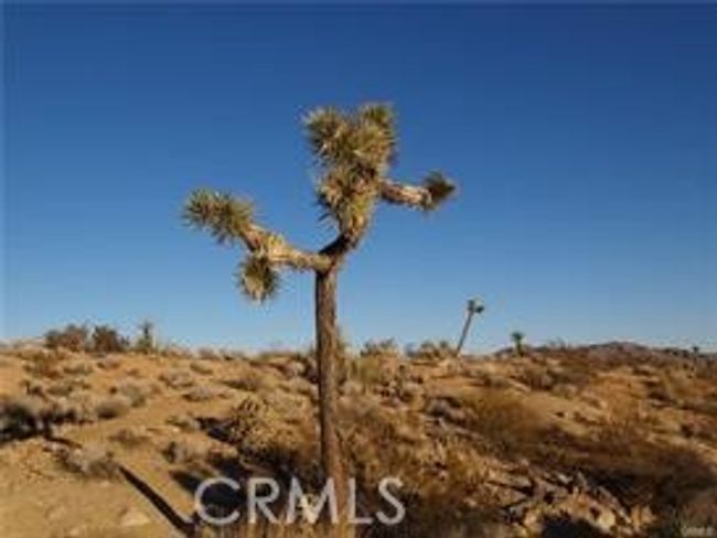7275 Saddleback Rd, Home with 0 bedrooms, 0 bathrooms and null parking in Joshua Tree CA | Image 6