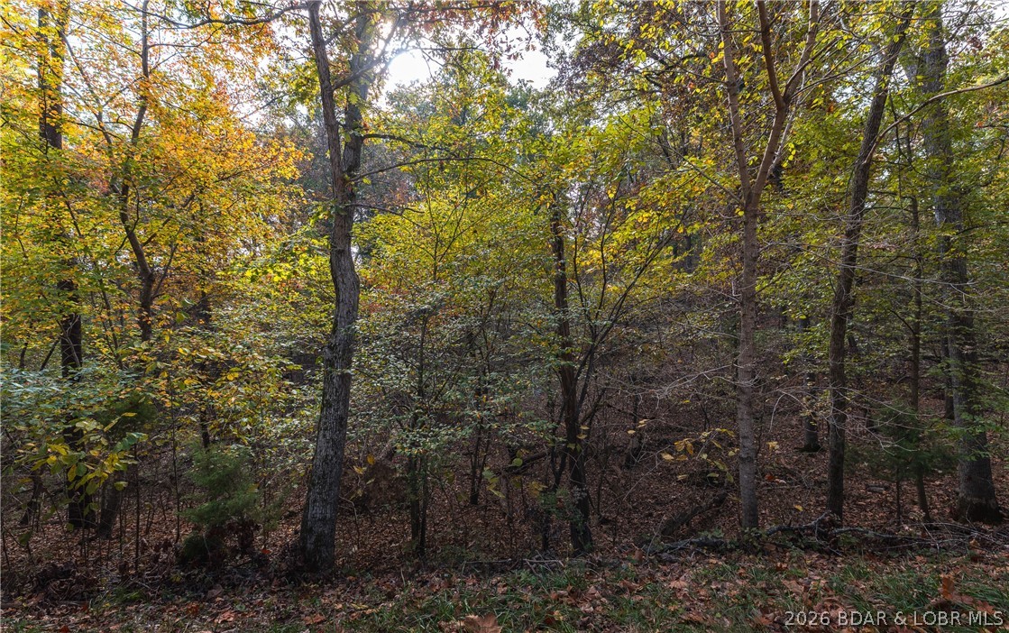 Land in Lake Ozark 3