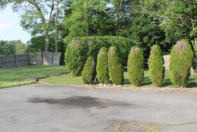 A - 151 Canton St, Condo with 1 bedrooms, 1 bathrooms and 2 parking in Randolph MA | Image 14