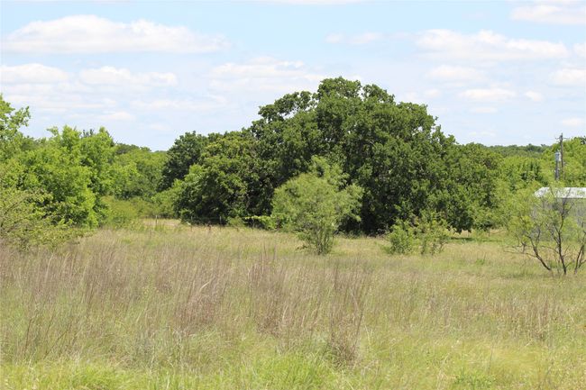 View of tree filled area | Image 14