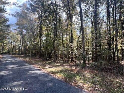 0 Pelahatchie Rd, Pelahatchie, MS, 39145 | Card Image