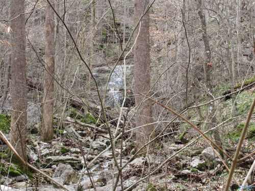 1958 County Road 32, Fackler, AL, 35752 | Card Image