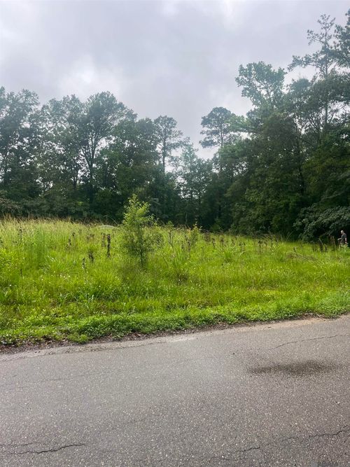 19925 Perrin Ferry Rd, Springfield, LA, 70462-7211 | Card Image