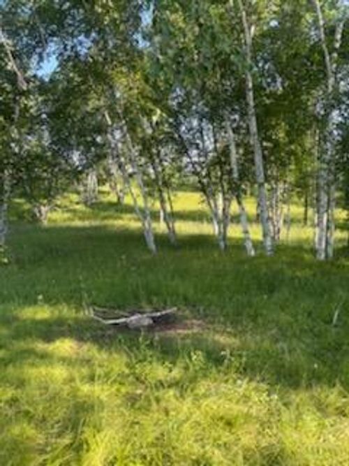 15370 Mallard Rd, Brook Park, MN, 55007-4700 | Card Image