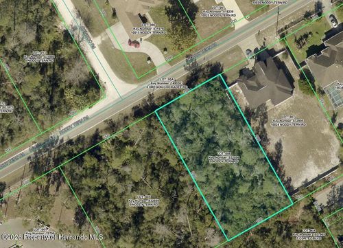 0 Noddy Tern Rd, Brooksville, FL, 34613 | Card Image