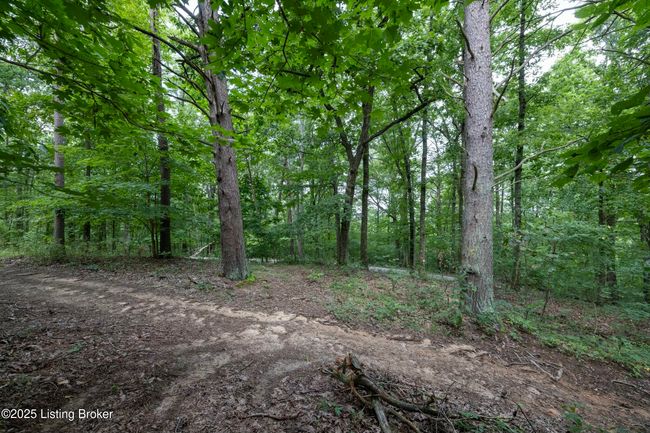 7 Vanmeter Cemetery Rd, Home with 0 bedrooms, 0 bathrooms and null parking in Bee Spring KY | Image 29