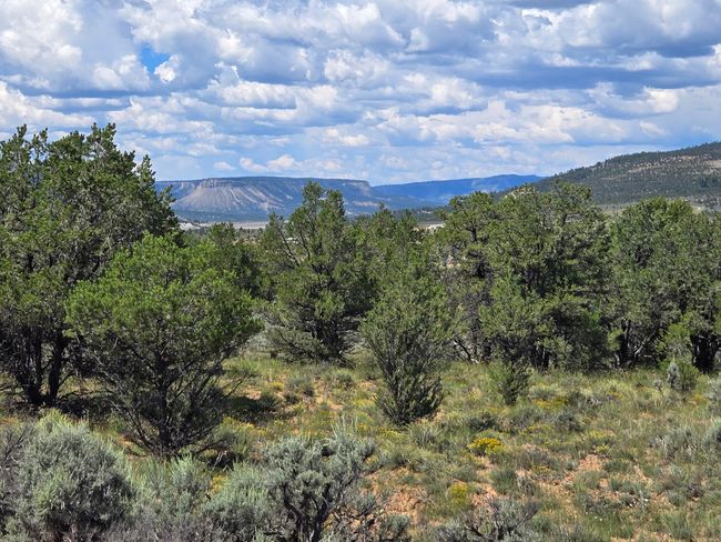Unit 10 Tract 243 El Vado Lake Subd., Home with 0 bedrooms, 0 bathrooms and null parking in Tierra Amarilla NM | Image 6