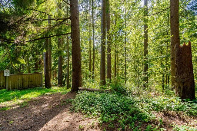View of tree filled area | Image 27