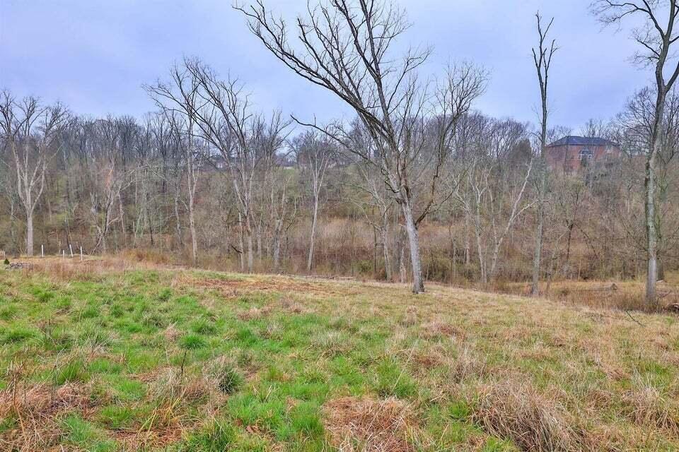 Land in Fort Mitchell 4