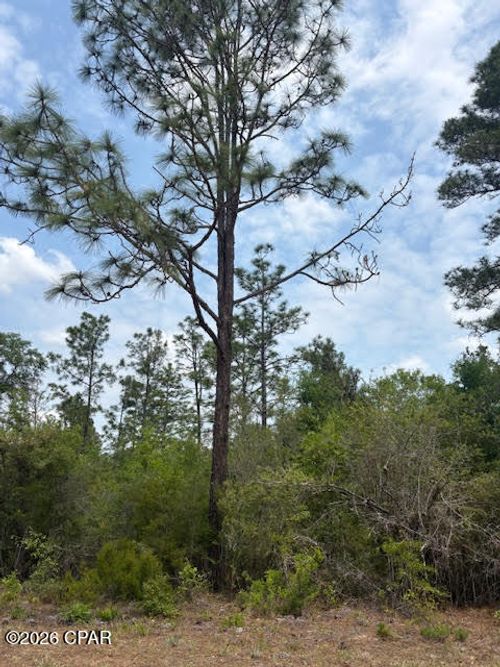 l4-b203-00 Southern Blvd, Alford, FL, 32420 | Card Image
