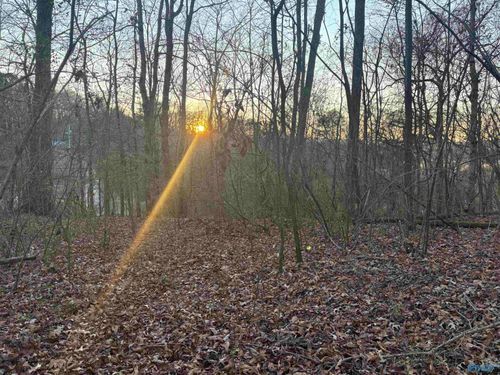 Lot 4 and 5 Snodgrass Rd, Scottsboro, AL, 35768-2384 | Card Image