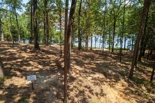 Lot 7 Big Oaks, Leesburg, TX, 75451 | Card Image