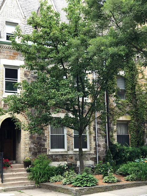 apt-3-318 Tappan St, Brookline, MA, 02445-5375 | Card Image