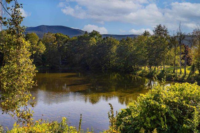 2523 Route 30, House other with 3 bedrooms, 2 bathrooms and null parking in Dorset VT | Image 31
