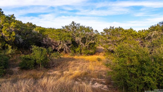 111 Hondo Oaks Dr, Home with 0 bedrooms, 0 bathrooms and null parking in Tarpley TX | Image 15