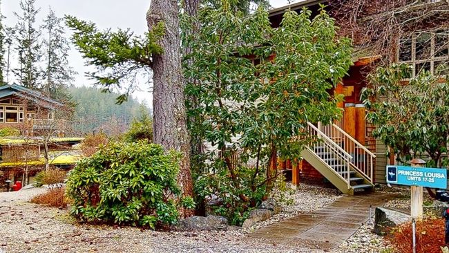 View of yard with stairway | Image 4