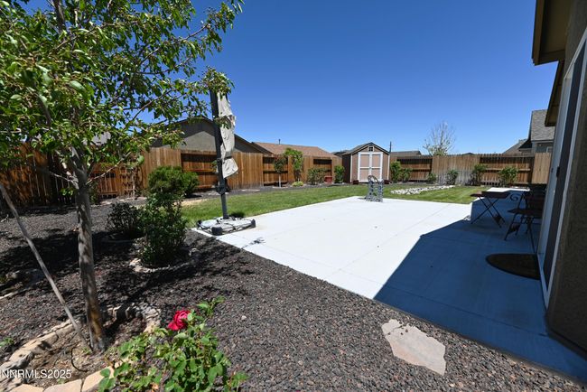 Back yard | Image 24