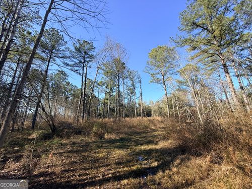 4 Sun Hill Grange Rd, Davisboro, GA, 31018 | Card Image