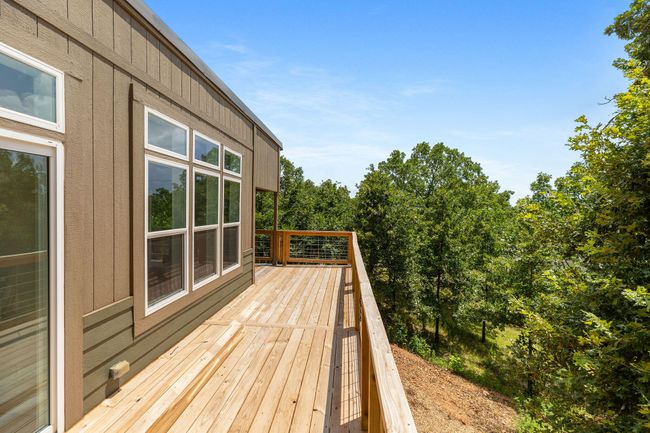 Briggs-20 | Image 20