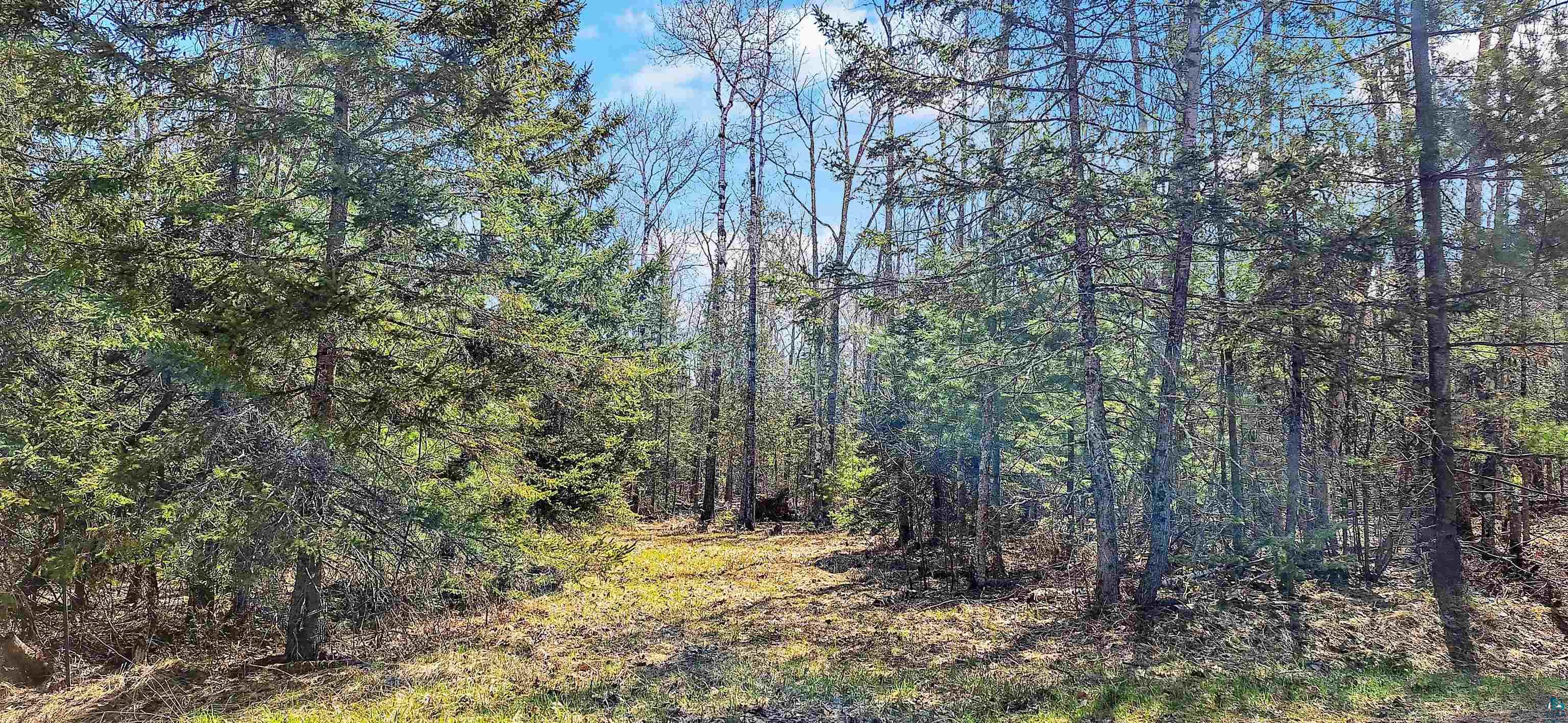 Land in LaPointe 4