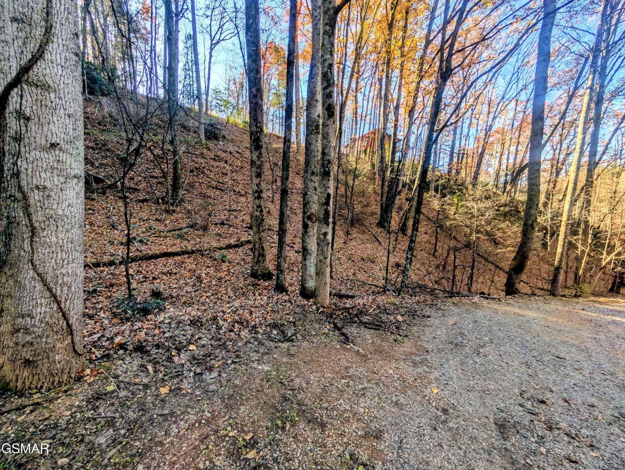 Land in Sevierville 4