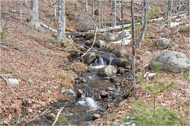 48 Durkin Rd, Home with 0 bedrooms, 0 bathrooms and null parking in North Creek NY | Image 27