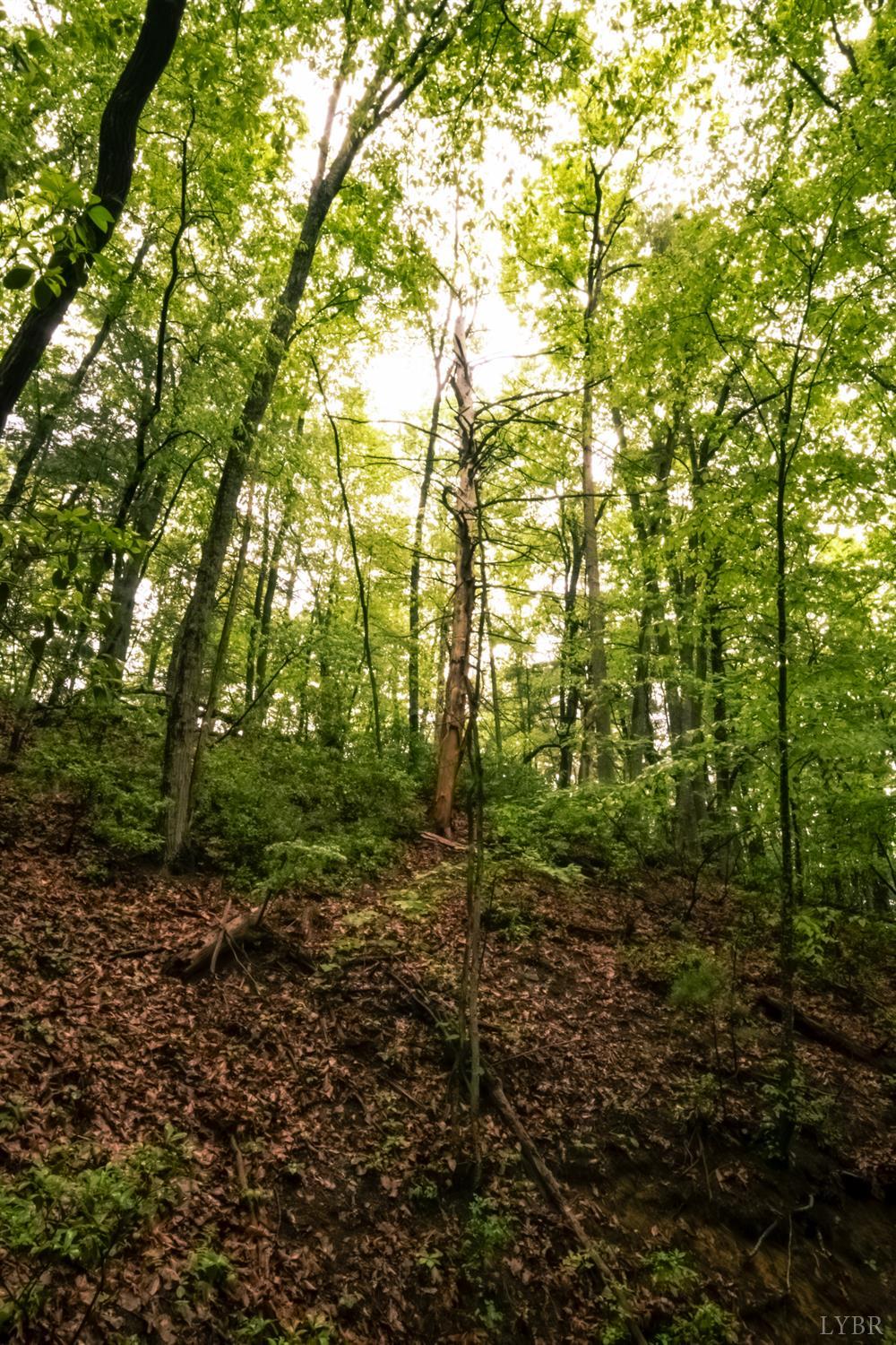 Land in Montvale 3
