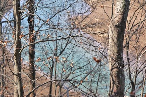 LOT 41R Runaway Dr, Fountain Run, KY, 42133 | Card Image