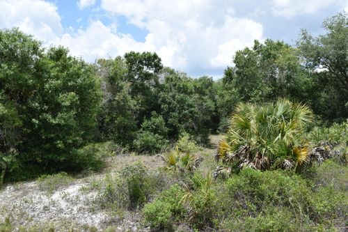 17119 Nw 276th St, Okeechobee, FL, 34972 | Card Image