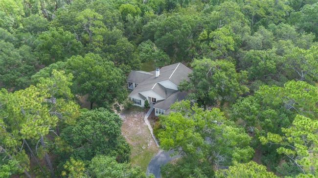 11933 Pasco Trails Blvd, House other with 4 bedrooms, 3 bathrooms and null parking in SPRING HILL FL | Image 59