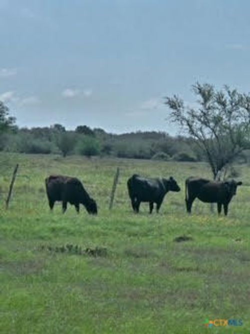 000 County Road 18 30.73 Acres Tract 3, Hallettsville, TX, 77964 | Card Image