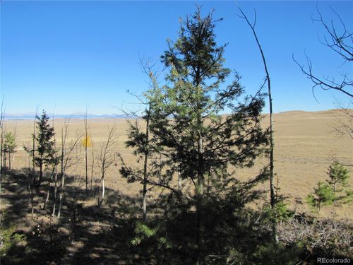 313 Aspen Ln, HARTSEL, CO, 80449 | Card Image