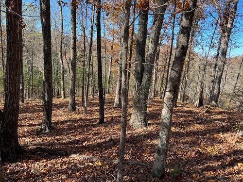 0 Old Highway 53 S, Celina, TN, 38551 | Card Image