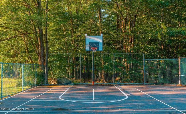 Courts | Image 13