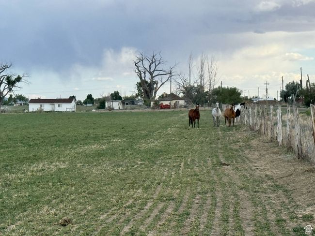 View of yard with a view of countryside | Image 11