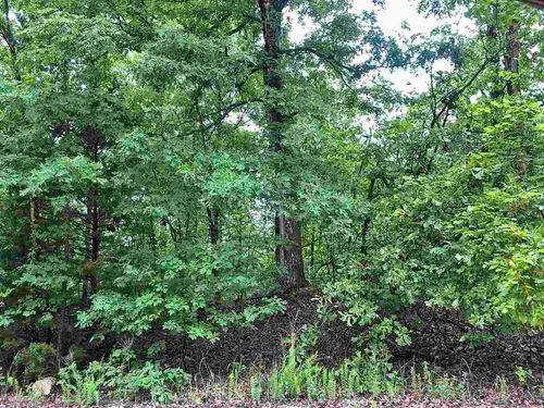 710 Lynwood Ave, Horseshoe Bend, AR, 72512 | Card Image