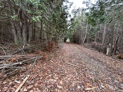 PtLt 29 Concession 8 N/A, Kawartha Lakes, ON, K0M1A0 | Card Image