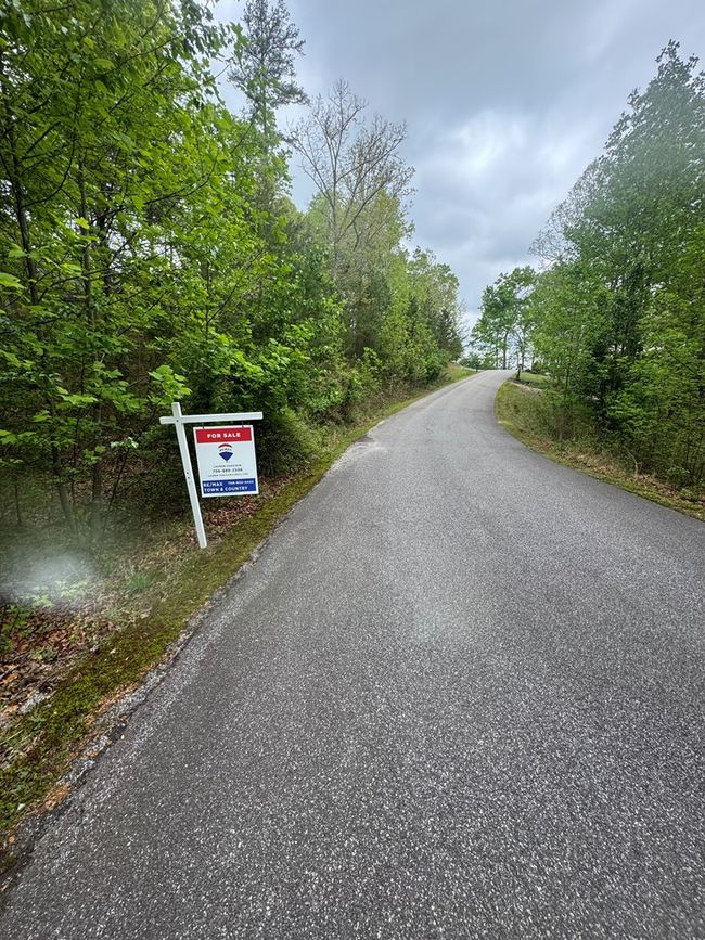Lot 7 Arden Trl, Home with 0 bedrooms, 0 bathrooms and null parking in Blairsville GA | Image 5