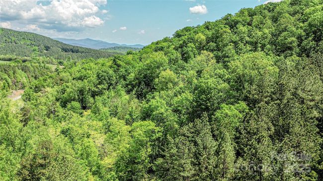 146 S Branch Dr, Home with 0 bedrooms, 0 bathrooms and null parking in Bostic NC | Image 20