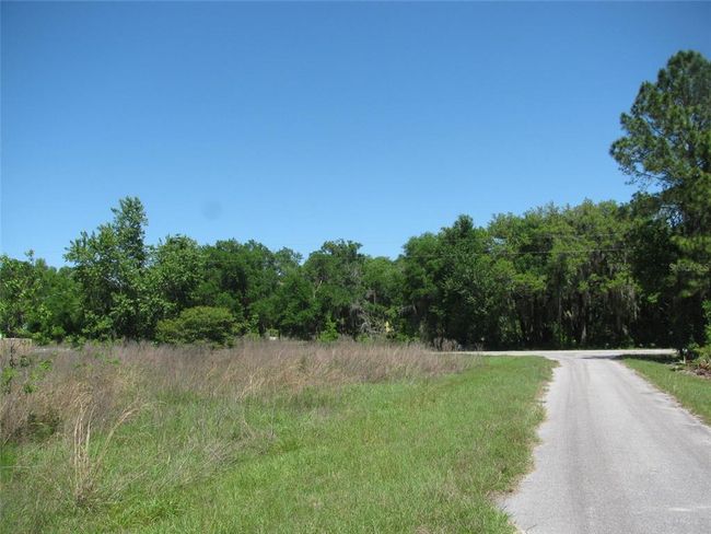 000 Malauka Radial, Home with 0 bedrooms, 0 bathrooms and null parking in Ocklawaha FL | Image 6