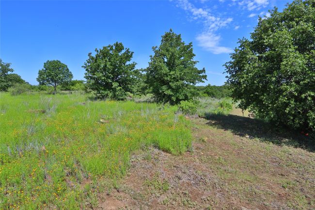 View of local wilderness | Image 6