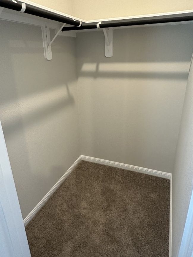 Spacious closet featuring carpet flooring | Image 8