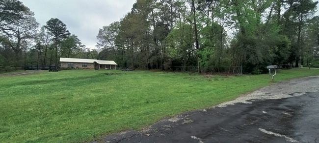 View of grassy yard with a wooded view | Image 7